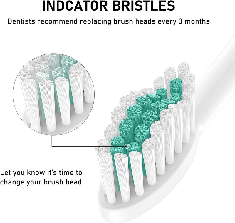 ELFIN Toothbrush Heads Compatible with Philips Sonicare Electric Toothbrush Click-on Handles, 8 Pack, Dupont Bristles with Protective Cover - Image 5